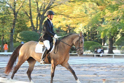 馬術競技会二日目