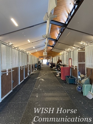 全日本馬場馬術大会