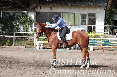 喜ぶ馬の表情