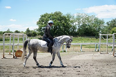 乗馬の魅力
