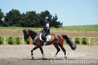 プライスレスな乗馬