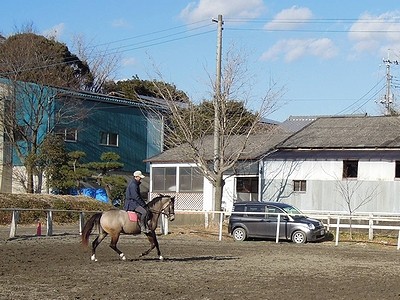本当の乗馬は楽しい！