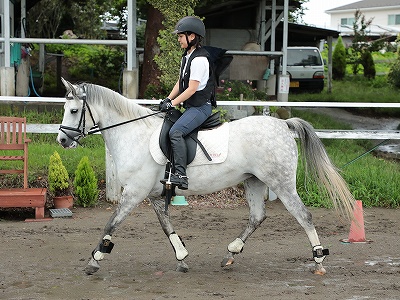 馬とコミュニケーションできる乗馬