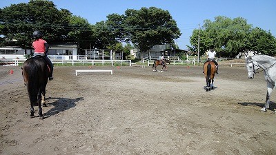 馬の障害物競走