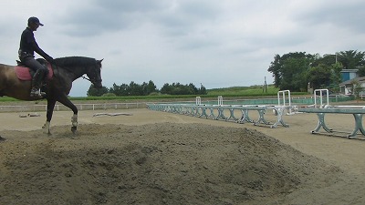 乗馬　バンケット