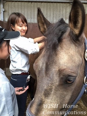 馬のたてがみ編みにはコツがあります