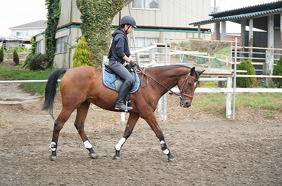 乗馬は馬ではなく自分を乗りこなすもの