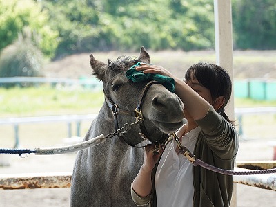 ハッピーコミュニケーション馬術