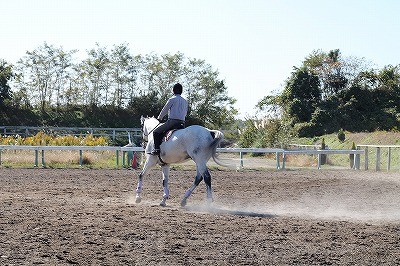 馬術部千葉県代表