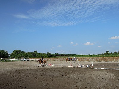 快晴の乗馬クラブを体験しよう