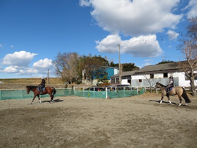 競技会で得た経験をすぐにフィードバック
