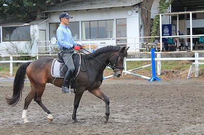 新馬からここまで。えらい！