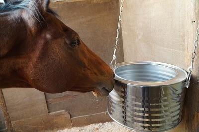 ピカピカの新しい飼い桶