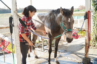 馬に好かれる乗馬方法