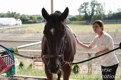 馬と仲良し