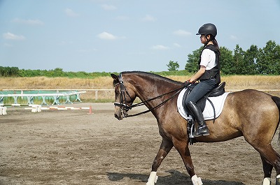 馬術と守破離