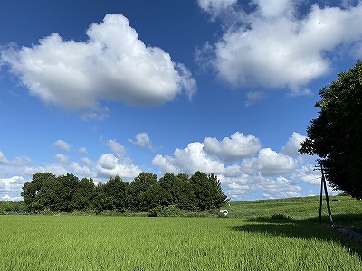 ウィッシュホースコミュニケーションズ