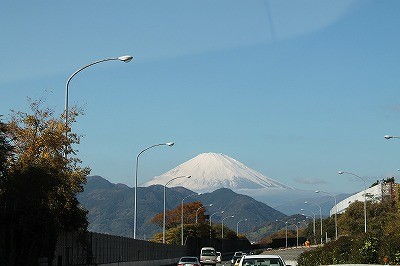 ナチュラルホースマンシップデモンストレーションへ向かう