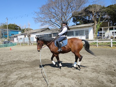 素敵な乗馬体験