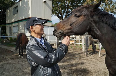 ウィッシュホースコミュニケーションズの馬の扱い方