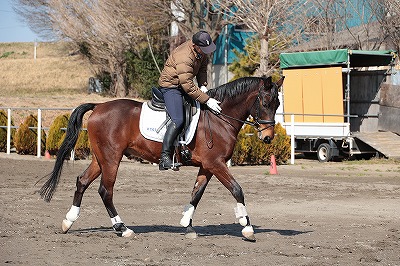 馬と話す男