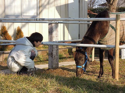 千葉県立柏南高等学校馬術部