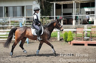 乗馬の神様