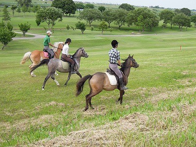可愛い馬には旅をさせよ