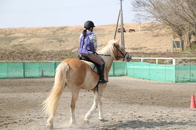 乗馬レッスン