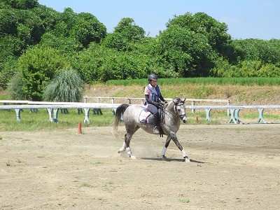 乗馬上達を目指す！