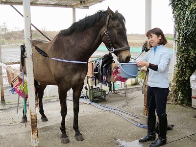 馬の気持ち