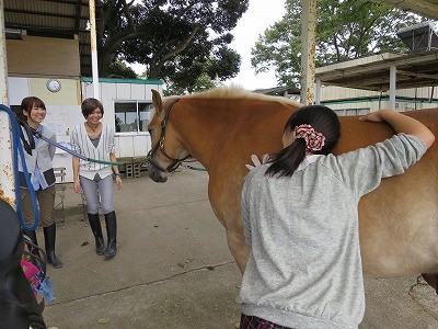 今日の体験乗馬