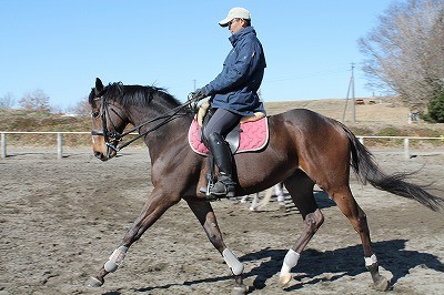 すべての馬にはいい馬になる可能性がある