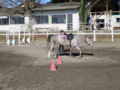 乗馬の基礎力