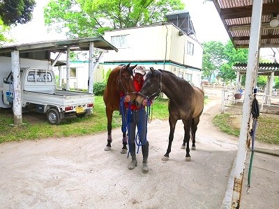馬と一緒に