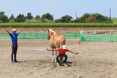 馬のお尻ですべり台