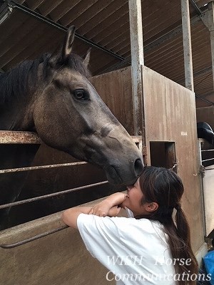 馬とチュー