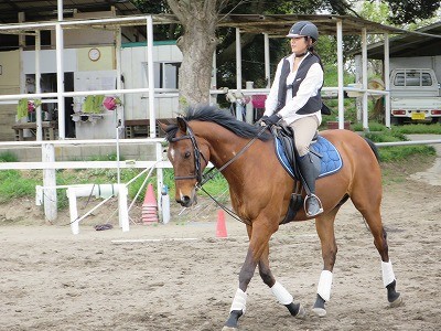 明るい乗馬