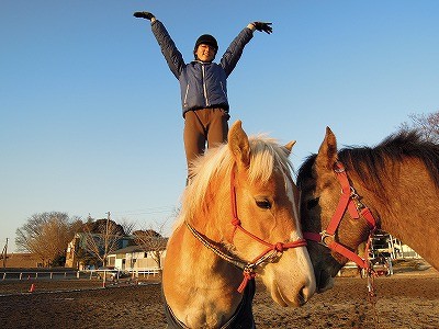 馬の調教と馴致