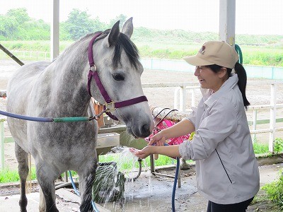 楽しい牧場生活