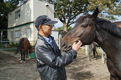 馬と仲良くしたい