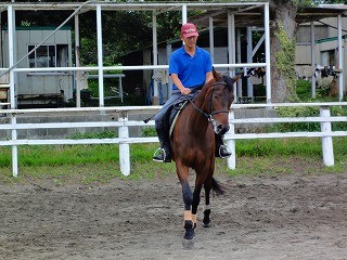 ナチュラルホースマンシップ中毒