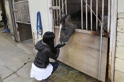 馬の気持ち