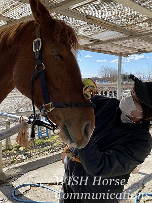 馬との絆