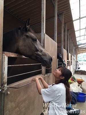 馬に任せよう