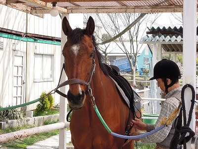 馬にはオープンでフランクに