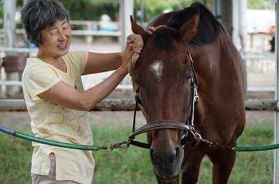 馬は手入れが大好き