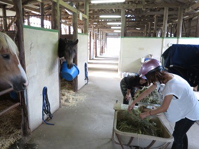 楽しい体験乗馬！
