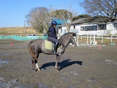 馬と見つめ合う