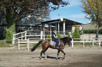 この感覚こそが乗馬です